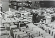 Debbie Robertson Sorting Books
